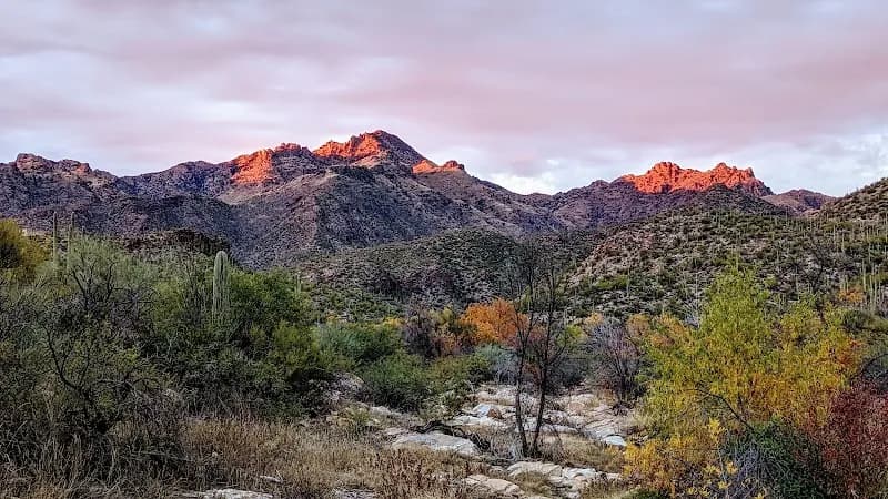 Esperero Trail #25 hiking area in Ventana Canyon, AZ