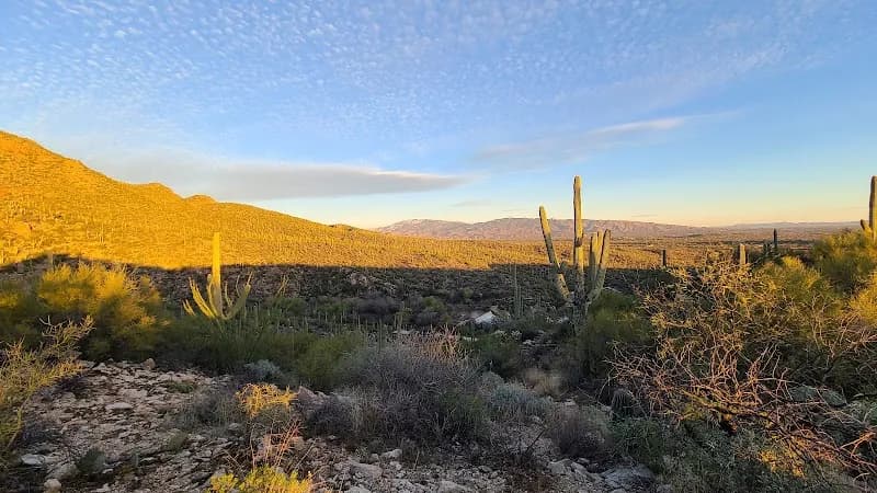 View of Esperero Trail #25 in Ventana Canyon, AZ