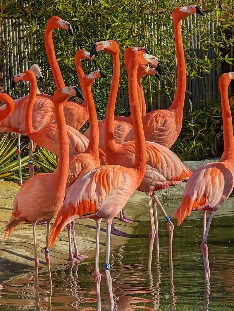 View of Essex County Turtle Back Zoo in Princeton, NJ