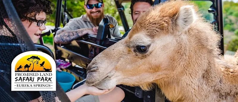 Eureka Springs Safari Park zoo in Little Rock, AR