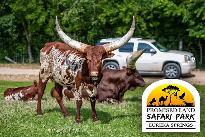 View of Eureka Springs Safari Park in Little Rock, AR