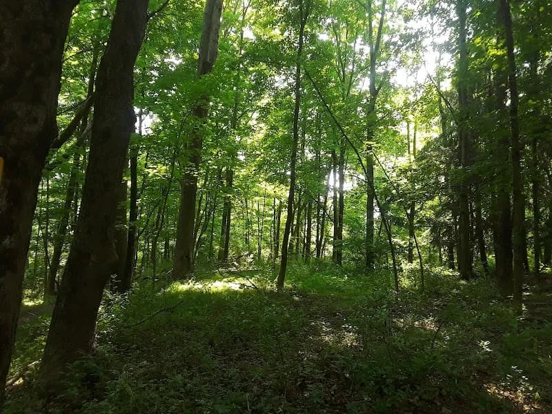 View of Evansburg State Park in Collegeville, PA