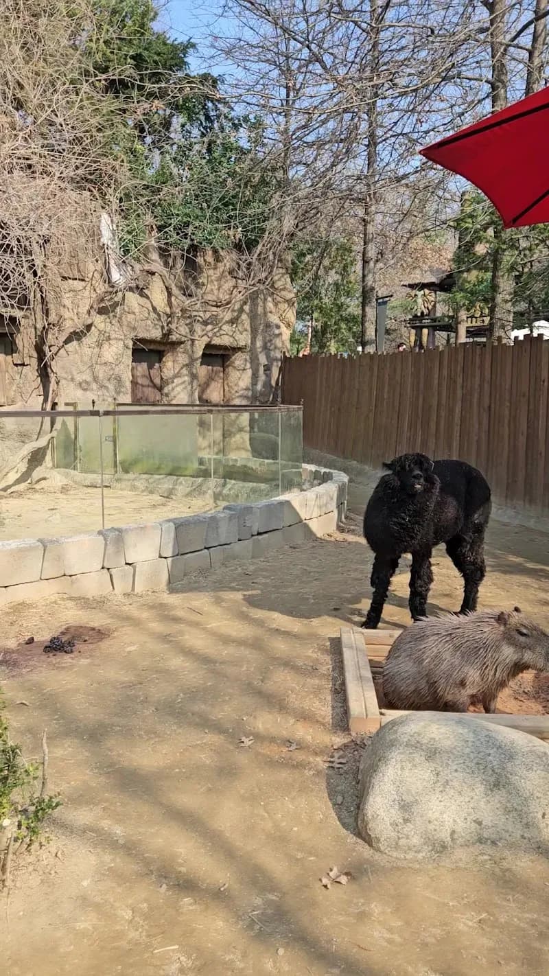 View of Everland in Yongin, GG