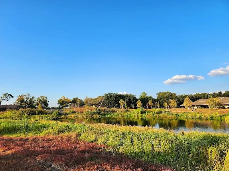 Exploration Green nature preserve in Clear Lake, TX