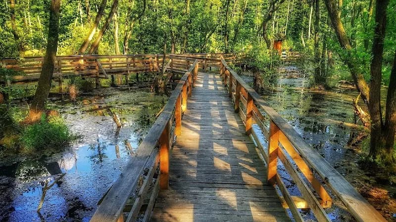 Fényes Nature Trail hiking area in Tata, Budapest