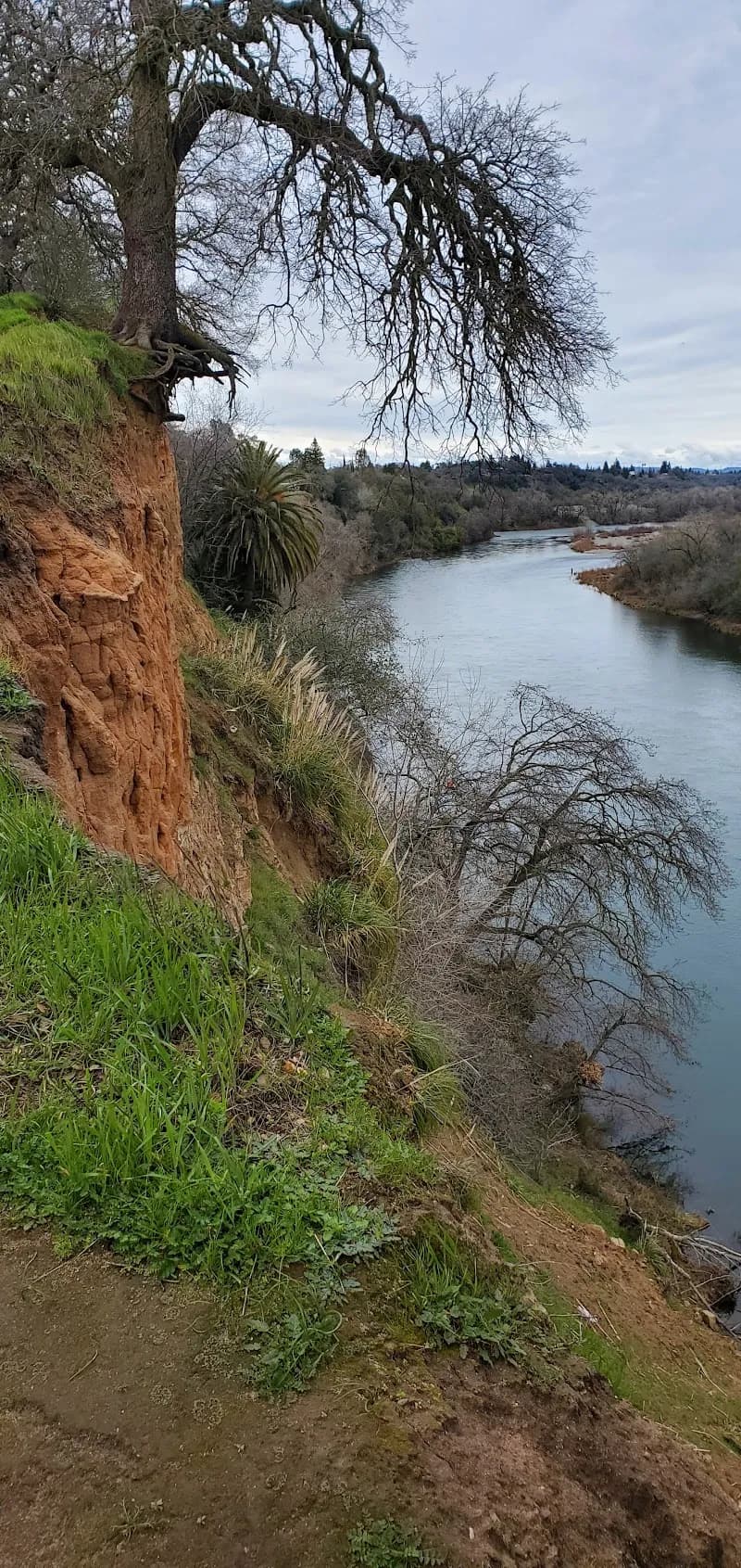 View of Fair Oaks Bluff in Fair Oaks, CA
