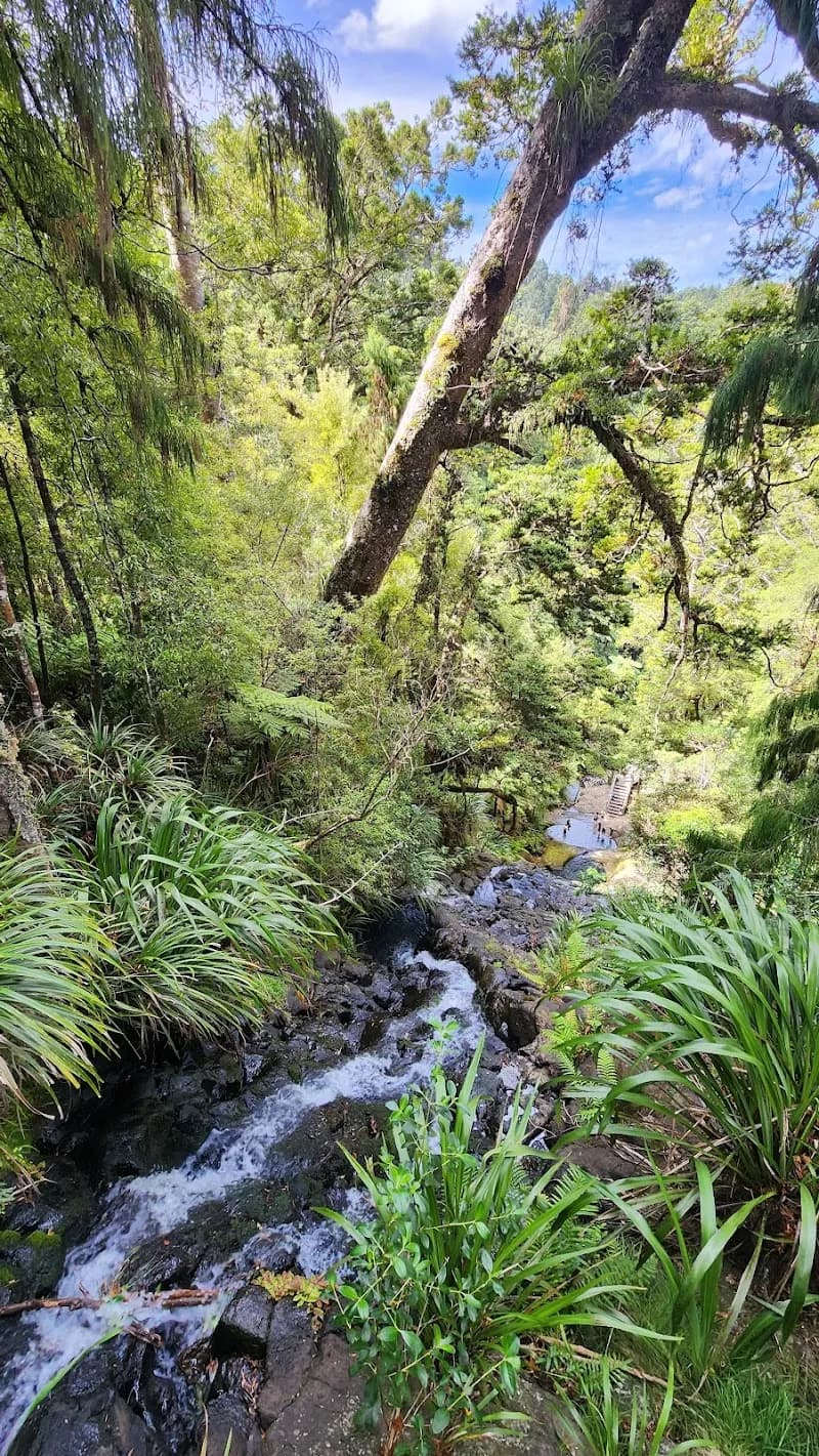 View of Fairy Falls Trailhead in Waitakere, AKL