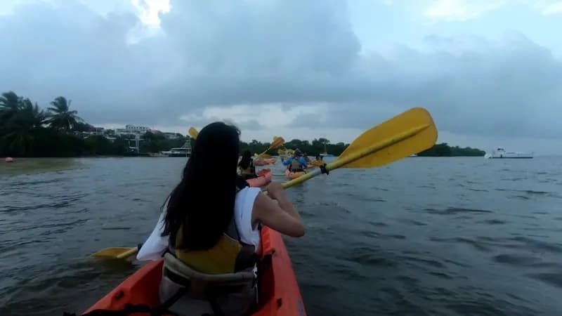 View of Fajardo Bio Bay in Luquillo, PR