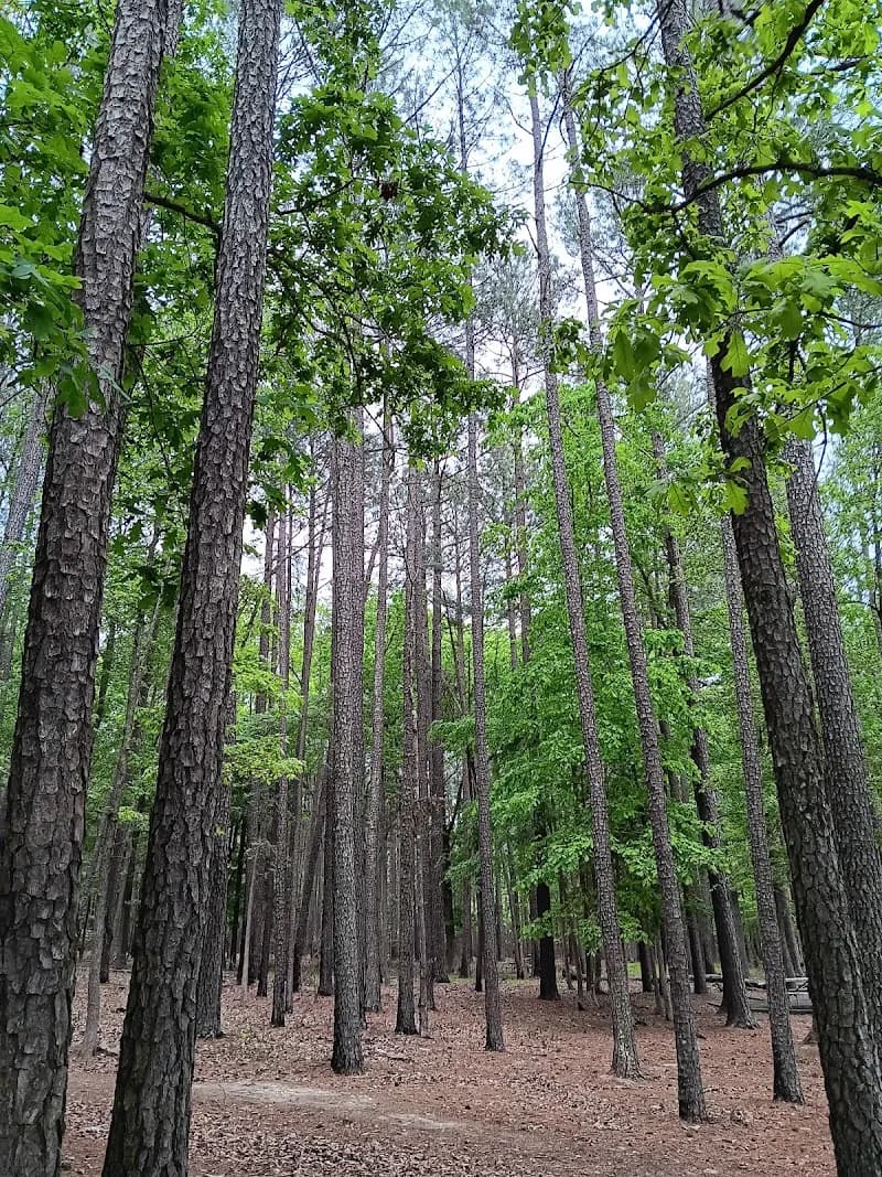 View of Falls Lake Sra Sandling Beach in Falls Lake, NC