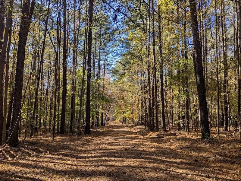View of Falls Lake Trail in Falls Lake, NC