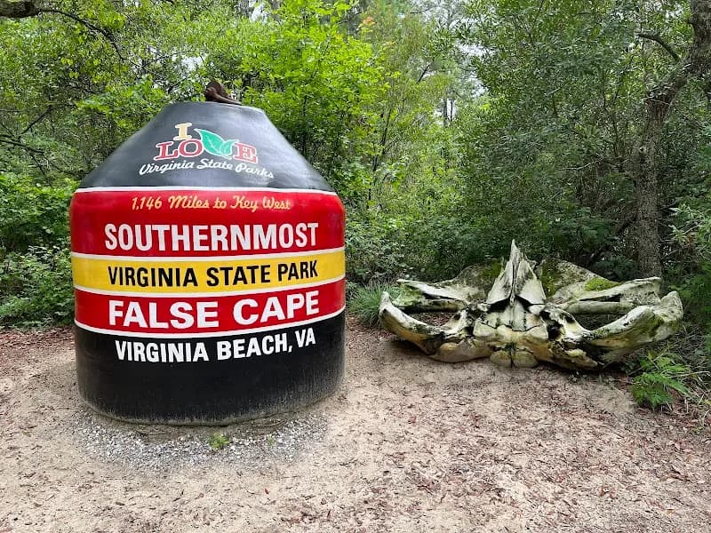 View of False Cape State Park in Pungo, VA