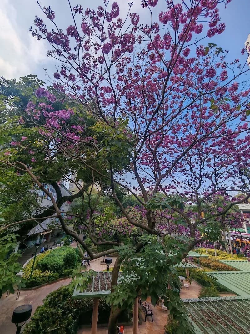 View of Fanling Waterfront Promenade in Fanling, HK