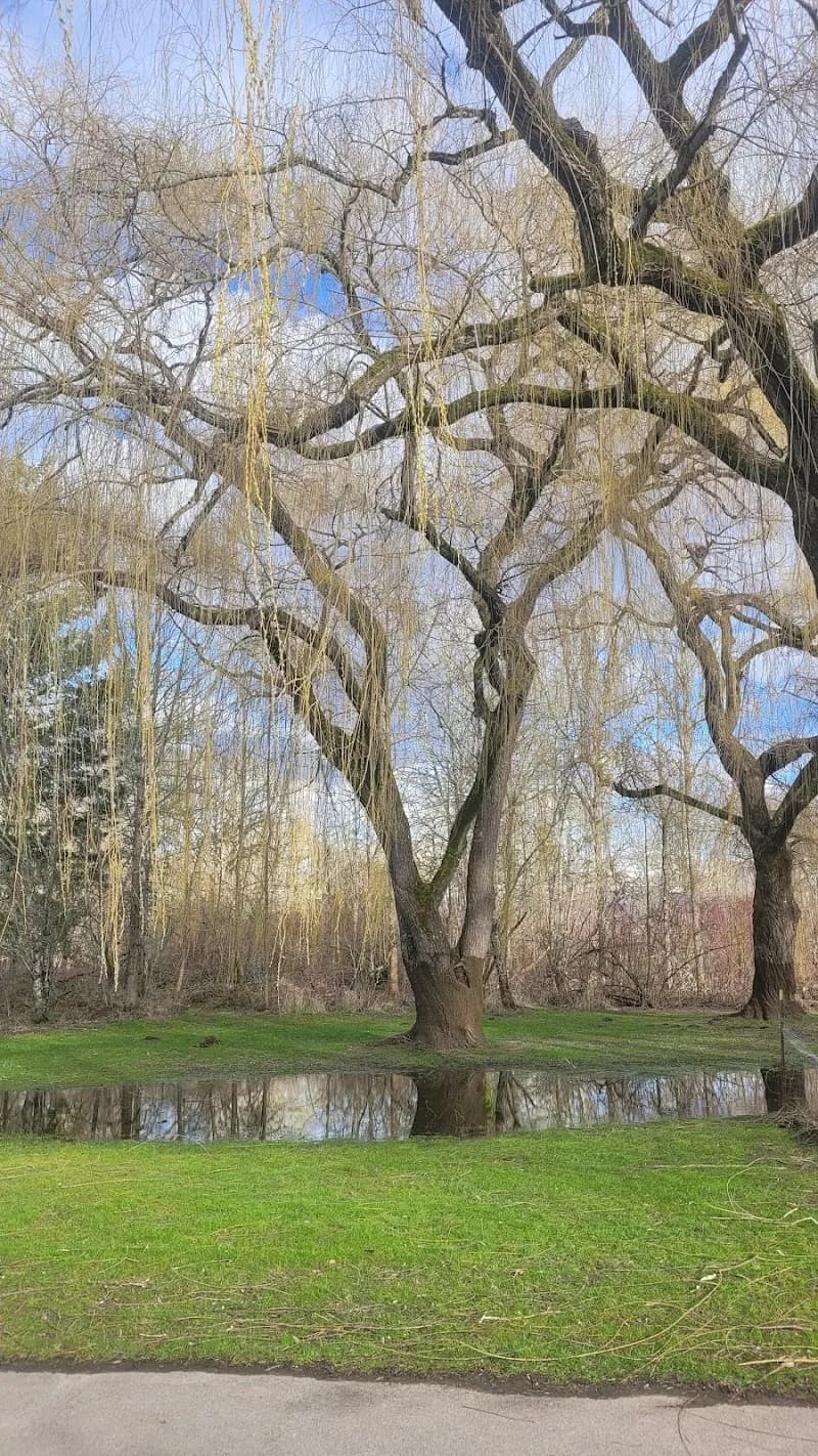 View of Fanno Creek Trail in Tigard, OR