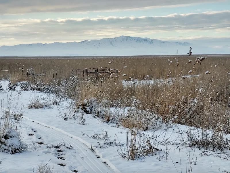 View of Farmington Bay Waterfowl Management Area in Centerville, UT