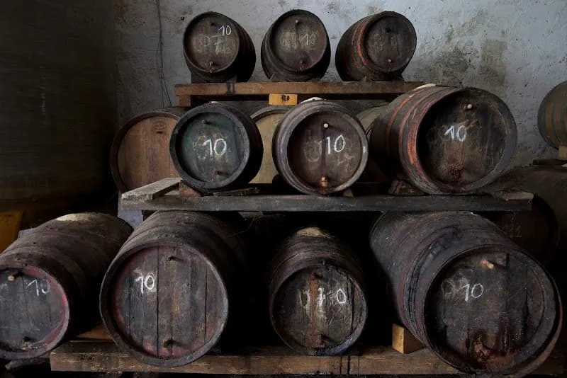 View of Fattoria di Sammontana in San Casciano in Val di Pesa, Tuscany