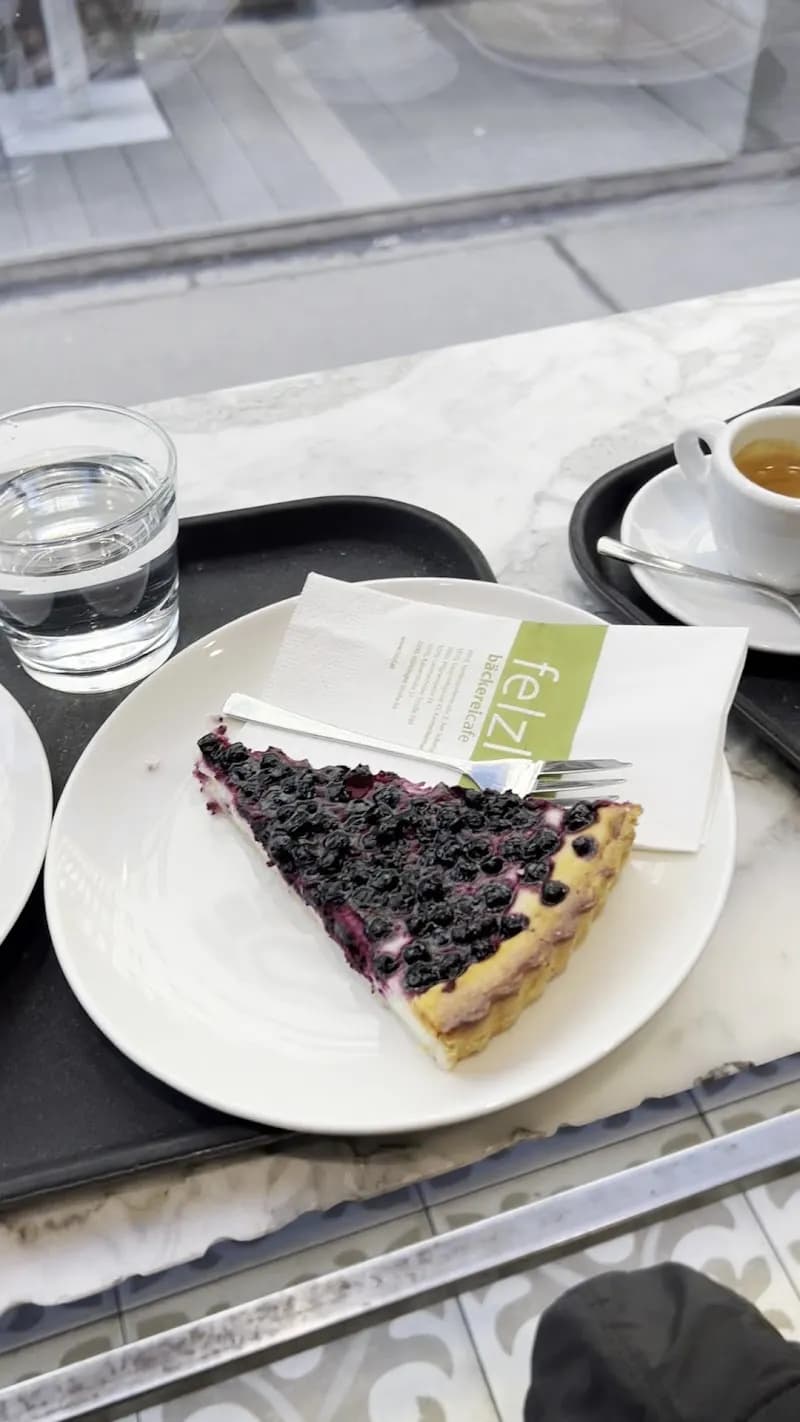 View of Felzl in Gerasdorf bei Stockerau, VIE