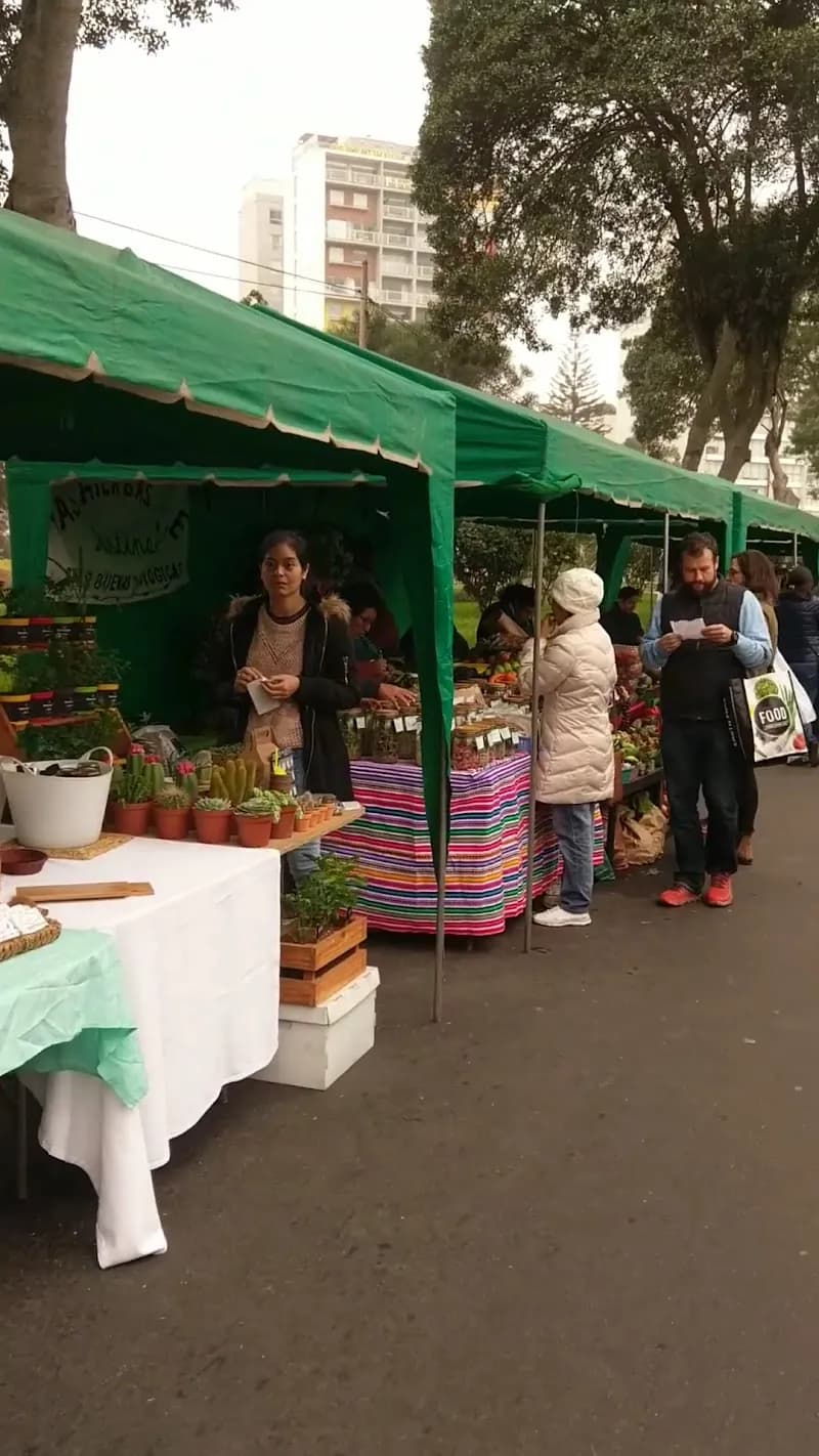 View of Feria ecológica de Barranco in Barranco, Lima