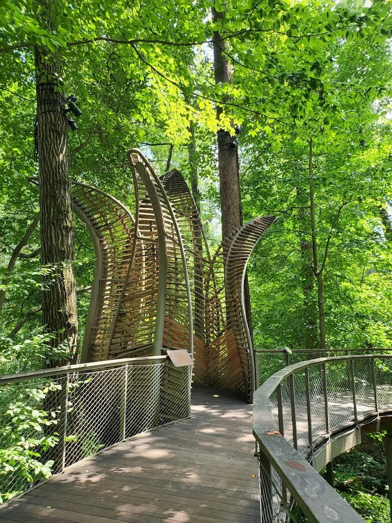 Fernbank Museum | 3D Theater | Forest nature preserve in Atlanta, GA