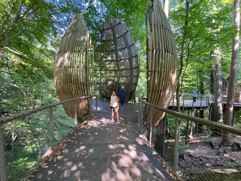 View of Fernbank Museum | 3D Theater | Forest in Atlanta, GA