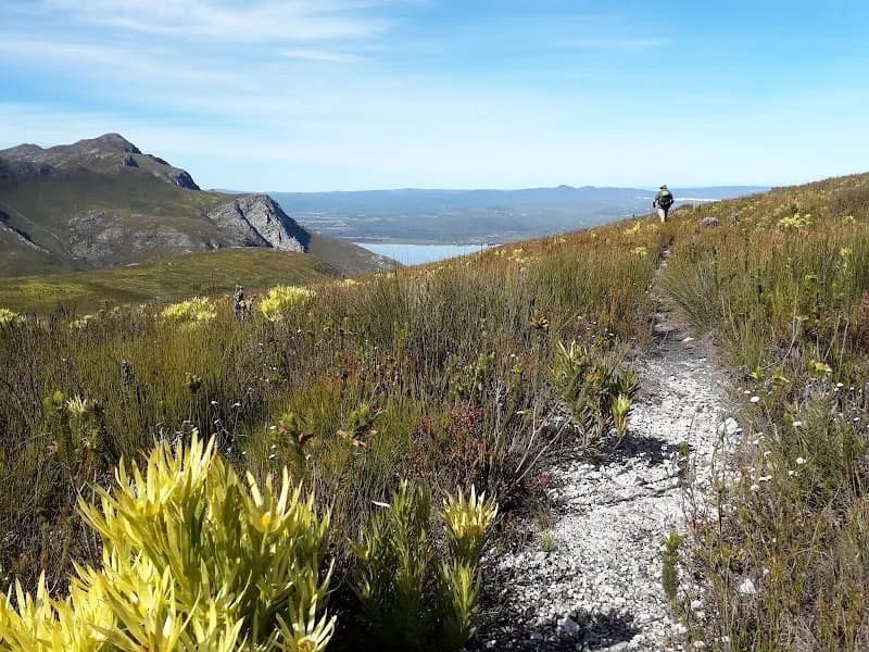 Fernkloof Nature Reserve nature preserve in Hermanus, WC
