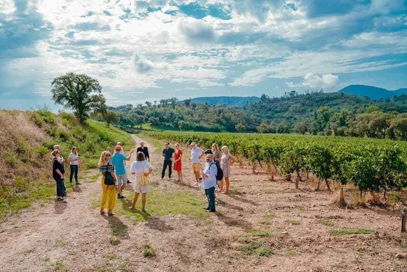 View of Field Barbossi - Collection Barbossi in Villeneuve-Loubet, PACA