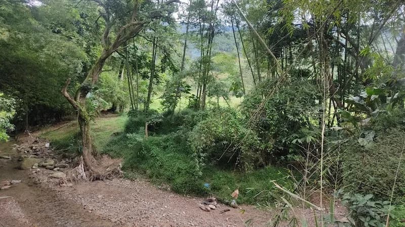 Finca Las Tres Hermanas farm in San Sebastián, PR