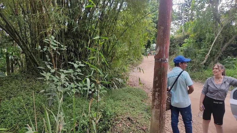 View of Finca Las Tres Hermanas in San Sebastián, PR