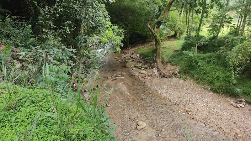 View of Finca Las Tres Hermanas in San Sebastián, PR