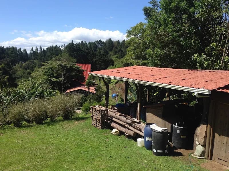 View of Finca Orgánica Local in San Isidro de Heredia, HD