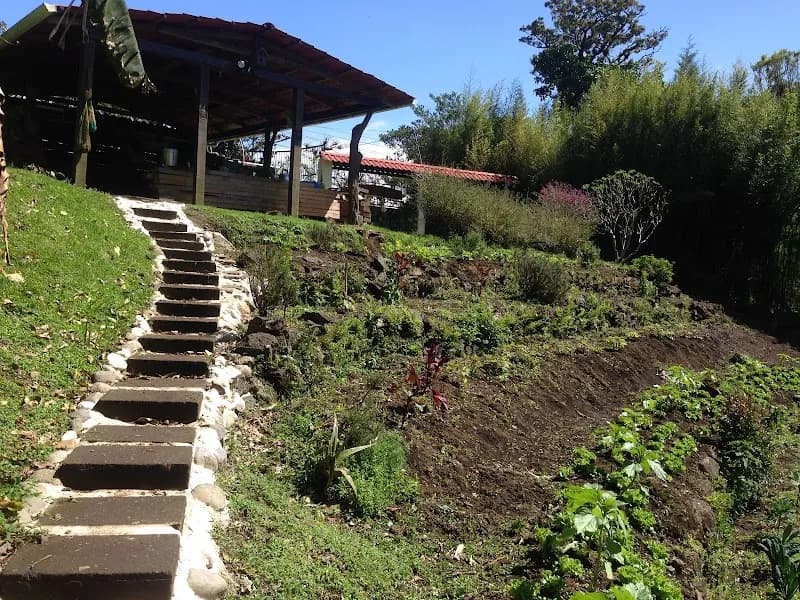 View of Finca Orgánica Local in San Isidro de Heredia, HD
