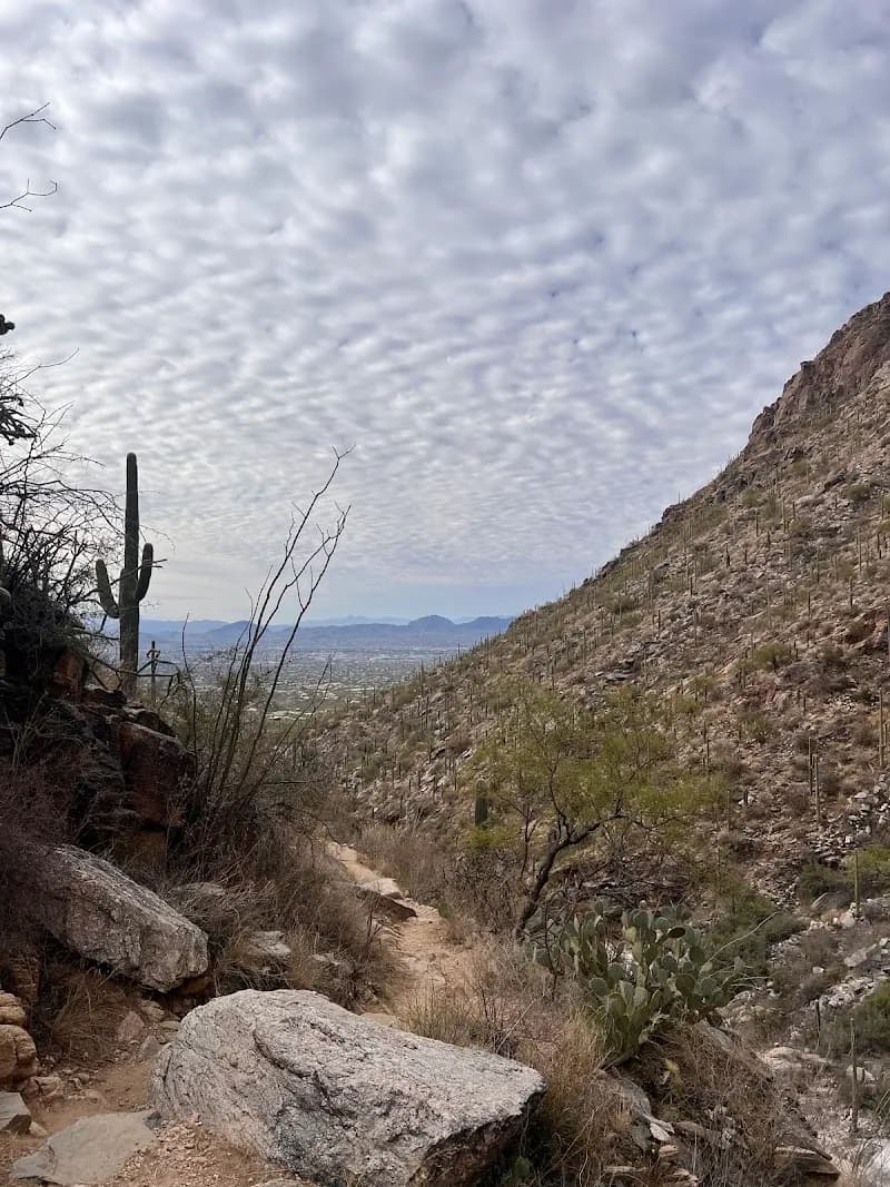 View of Finger Rock Trailhead in Catalina Foothills, AZ