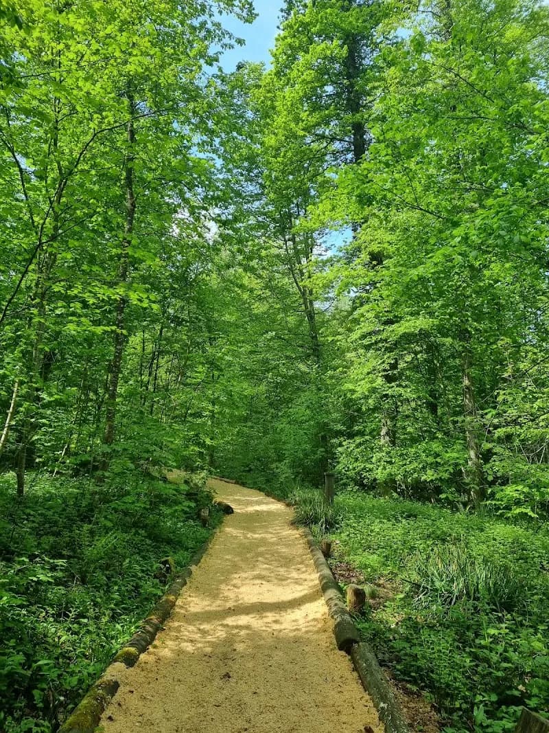 Finnenbahn park in Altstetten, ZH