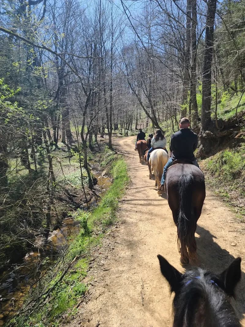 View of Five Oaks Riding Stables in Kodak, TN