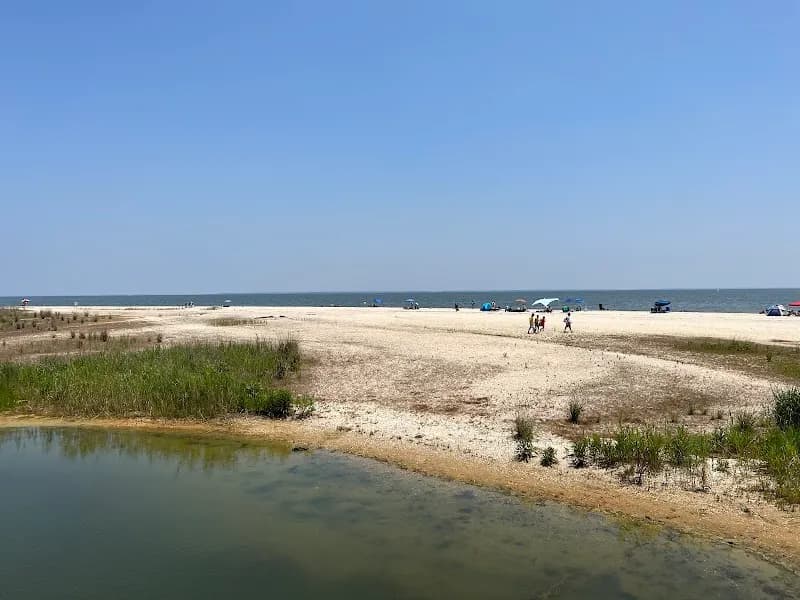 View of Flag Ponds Nature Park in Annapolis, MD