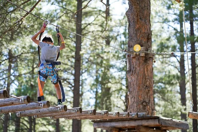 View of Flagstaff Extreme Adventure Course in Flagstaff, AZ
