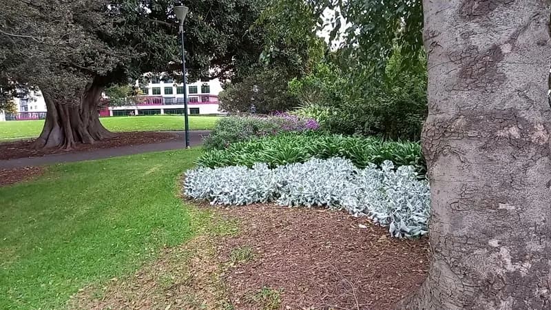 View of Flagstaff Gardens in Melbourne, VIC