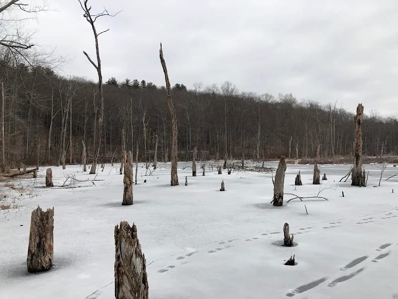 View of Flanders Nature Center & Land Trust in Weare, NH