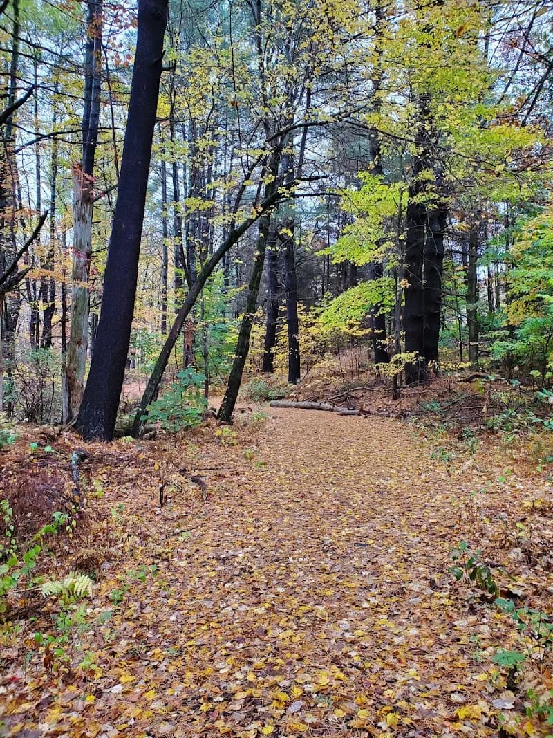 View of Flanders Nature Center & Land Trust in Weare, NH
