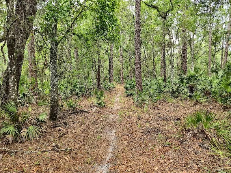 View of Flatwoods Park in New Tampa, FL