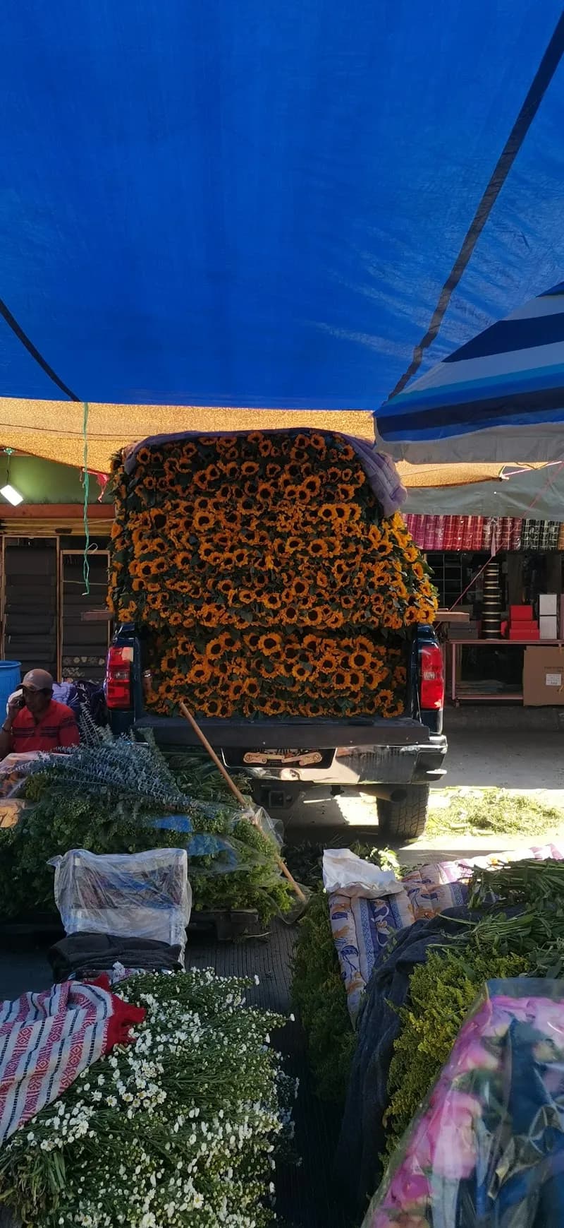 Flores Central Abastos market in Iztapalapa, CDMX