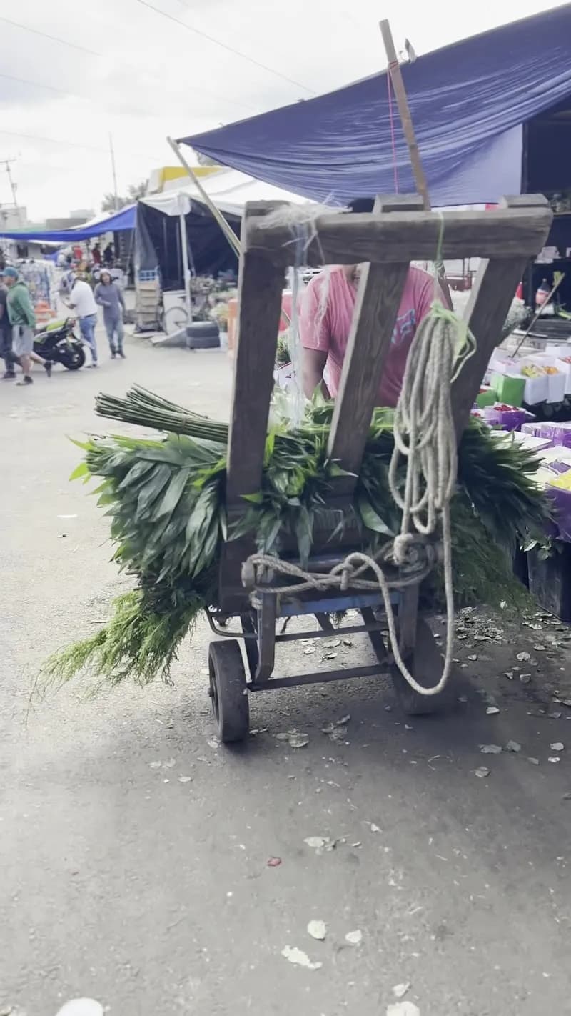 View of Flores Central Abastos in Iztapalapa, CDMX