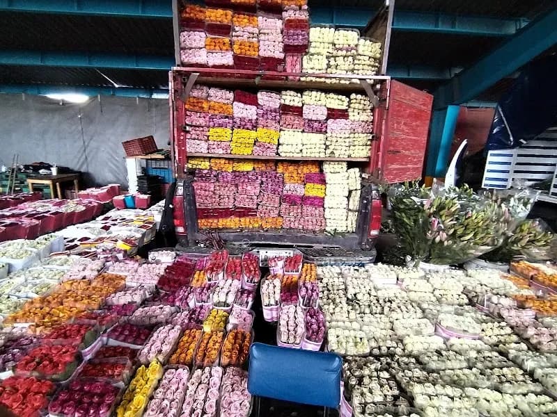 View of Flores Central Abastos in Iztapalapa, CDMX