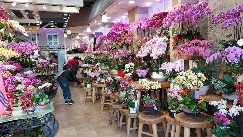 View of Flower Market Road in Mong Kok, HK
