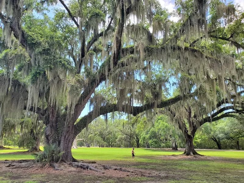View of Fontainebleau State Park in Covington, LA