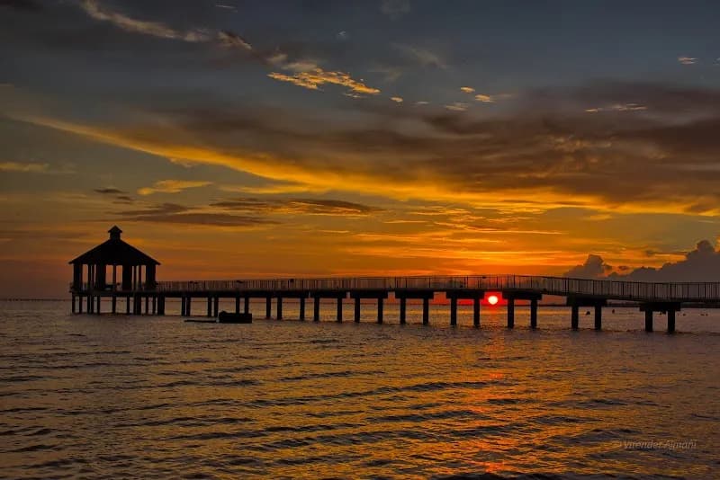View of Fontainebleau State Park in Covington, LA