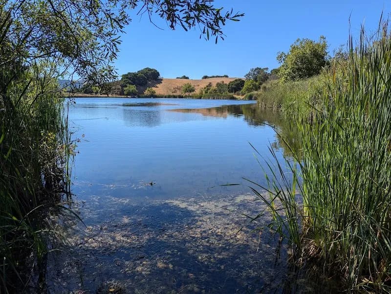 Foothills Nature Preserve nature preserve in Los Altos Hills, CA
