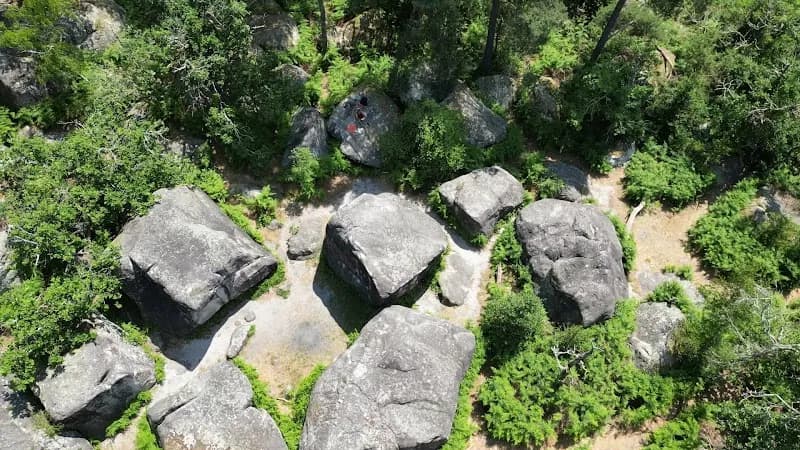View of Forêt de Fontainebleau in Fontainebleau, IDF