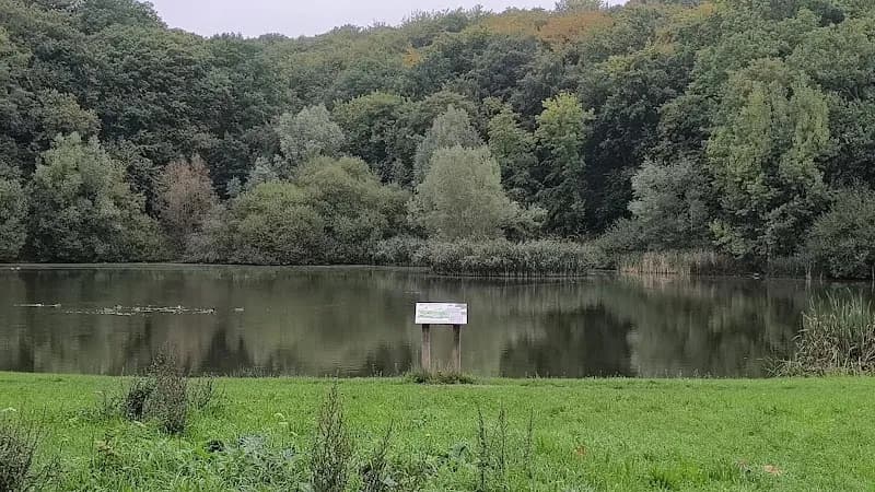 View of Forêt domaniale de Meudon in Sèvres, IDF