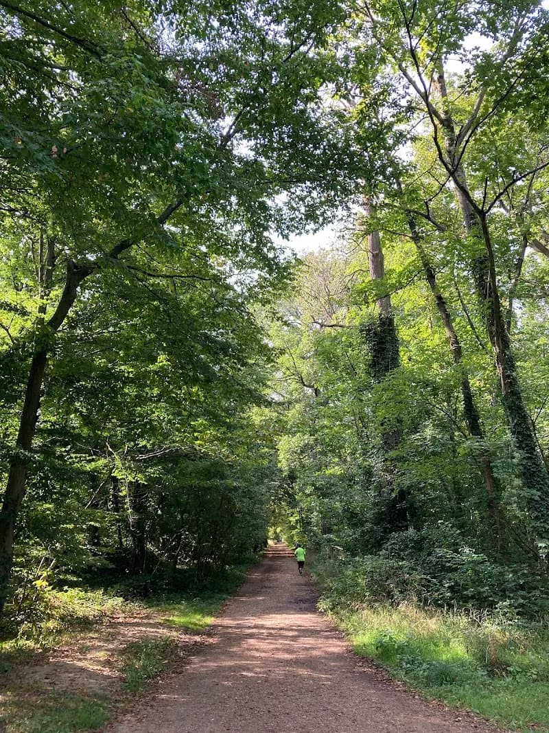 View of Forêt domaniale de Meudon in Sèvres, IDF