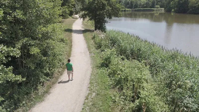 View of Forêt Domaniale de Montmorency in Montmorency, IDF